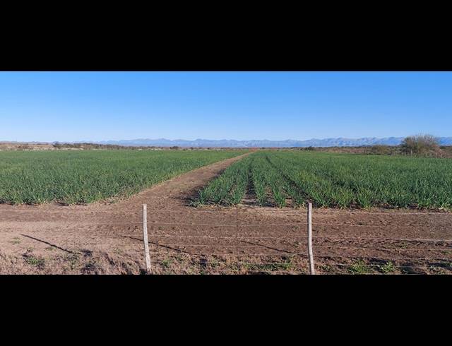 4,642HA FARM FOR SALE IN LEEU GAMKA